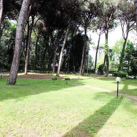 Lagomare Puccini Torre del Lago Puccini Ngoại thất bức ảnh