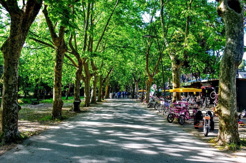 Lagomare Puccini Torre del Lago Puccini Ngoại thất bức ảnh